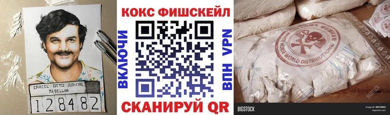 КОКАИН FishScale  hydra маркетплейс  Заринск 